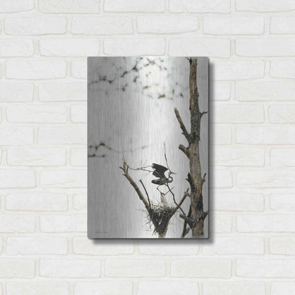 Luxe Metal Art 'Poised' by Debra Van Swearingen, Metal Wall Art,16x24