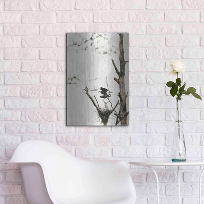 Luxe Metal Art 'Poised' by Debra Van Swearingen, Metal Wall Art,16x24