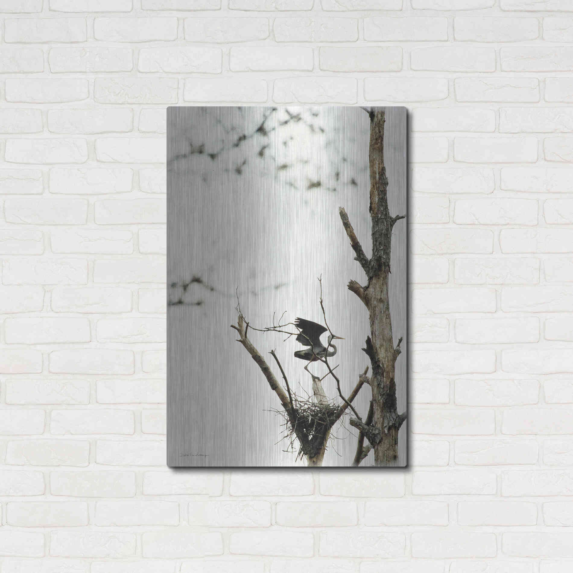 Luxe Metal Art 'Poised' by Debra Van Swearingen, Metal Wall Art,24x36