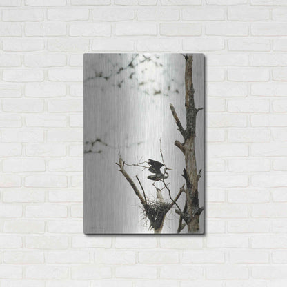 Luxe Metal Art 'Poised' by Debra Van Swearingen, Metal Wall Art,24x36