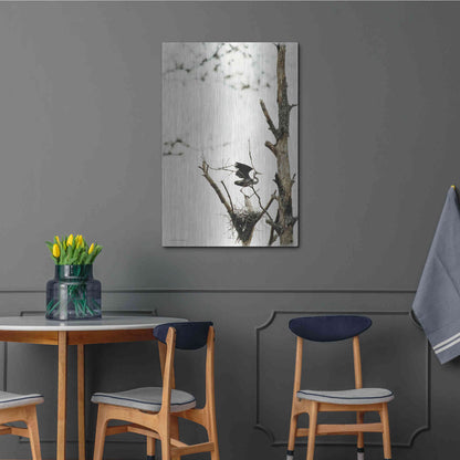 Luxe Metal Art 'Poised' by Debra Van Swearingen, Metal Wall Art,24x36