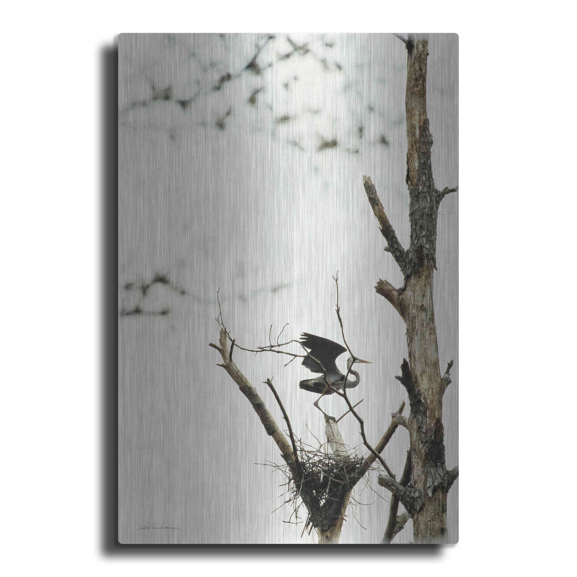 Luxe Metal Art 'Poised' by Debra Van Swearingen, Metal Wall Art