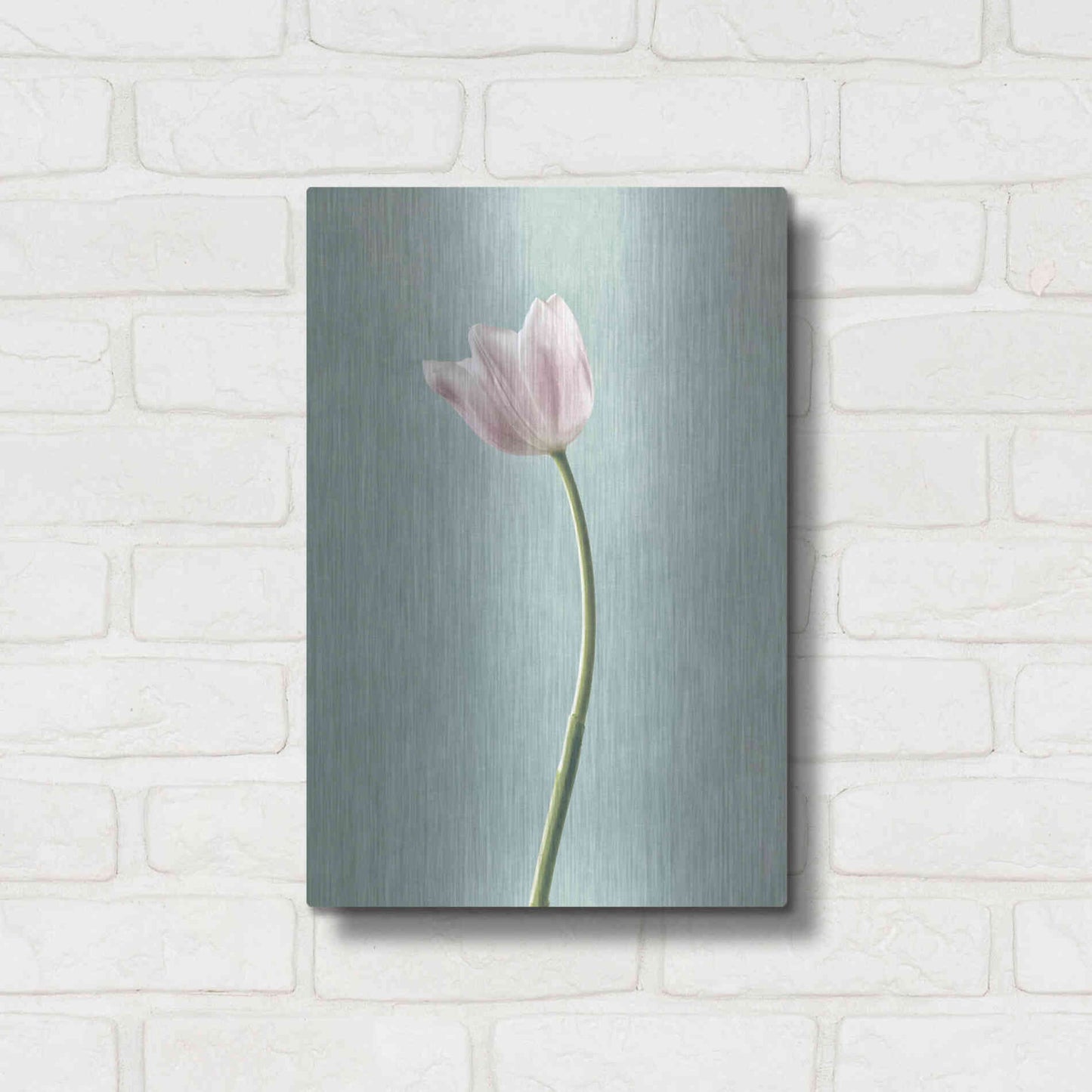 Luxe Metal Art 'Light Tulips I Harbor Gray' by Debra Van Swearingen, Metal Wall Art,12x16