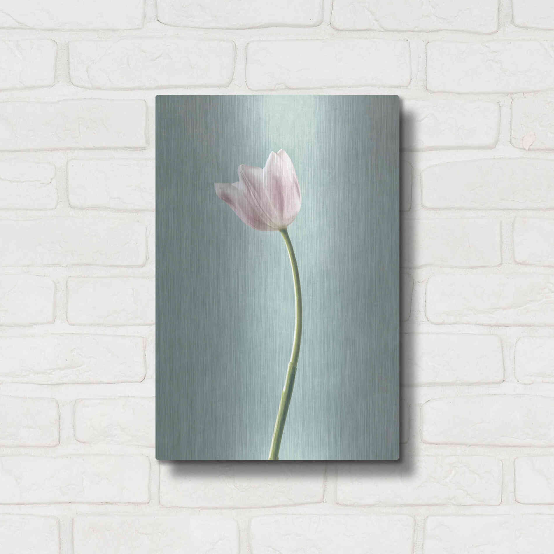Luxe Metal Art 'Light Tulips I Harbor Gray' by Debra Van Swearingen, Metal Wall Art,12x16