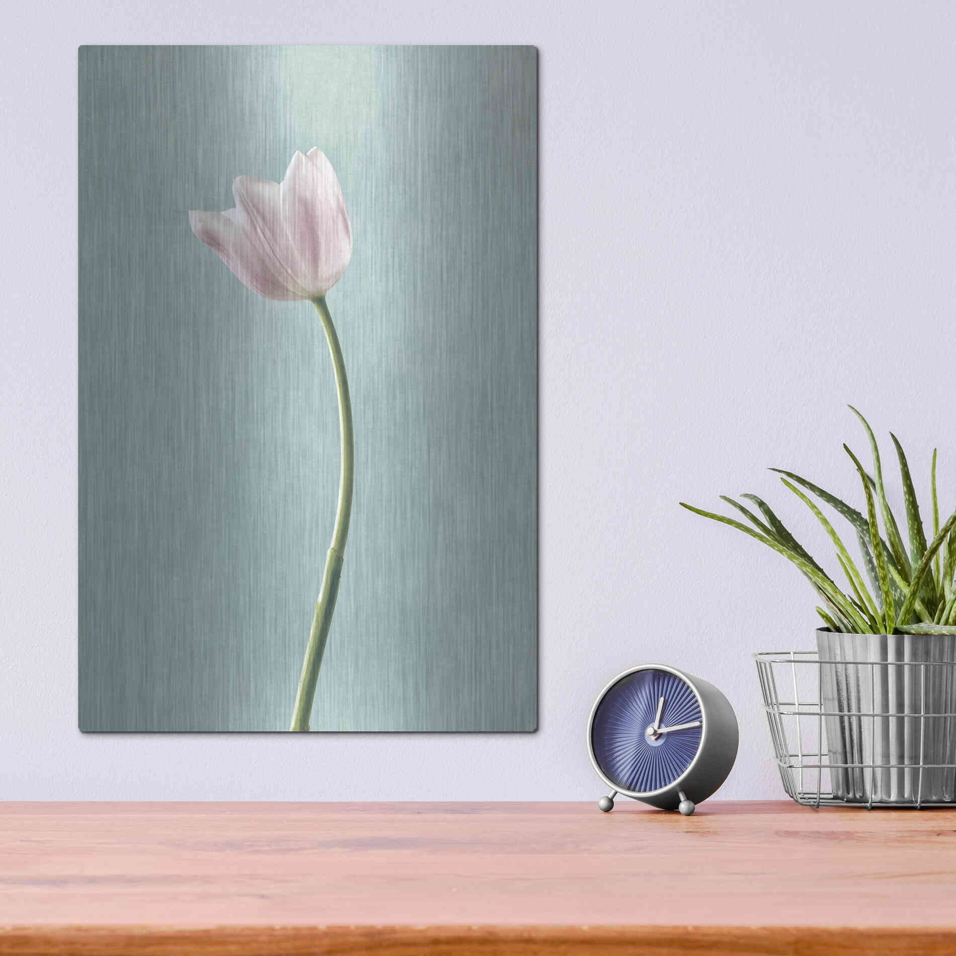 Luxe Metal Art 'Light Tulips I Harbor Gray' by Debra Van Swearingen, Metal Wall Art,12x16