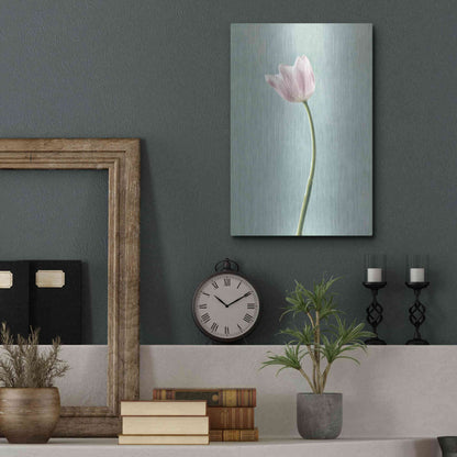 Luxe Metal Art 'Light Tulips I Harbor Gray' by Debra Van Swearingen, Metal Wall Art,12x16