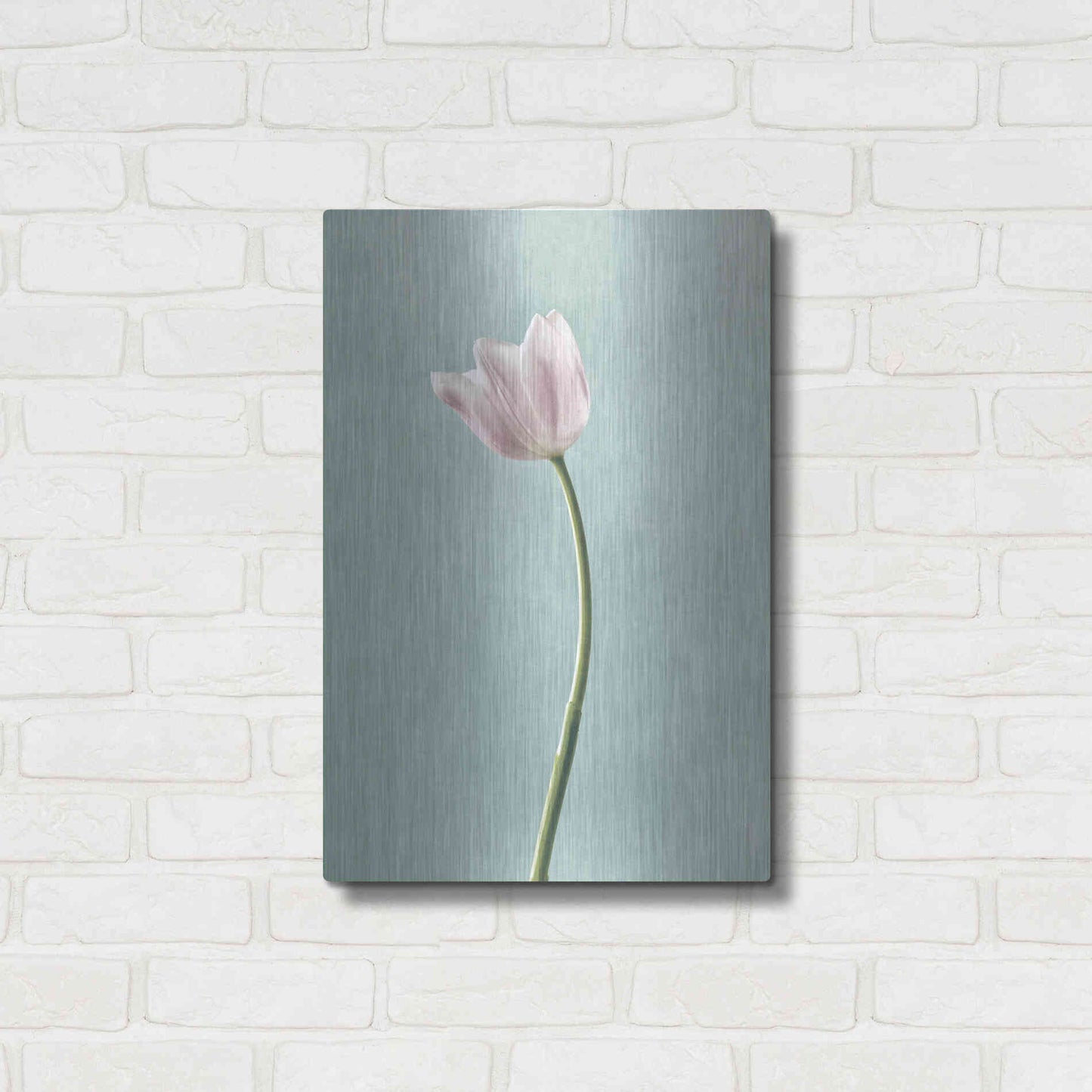 Luxe Metal Art 'Light Tulips I Harbor Gray' by Debra Van Swearingen, Metal Wall Art,16x24