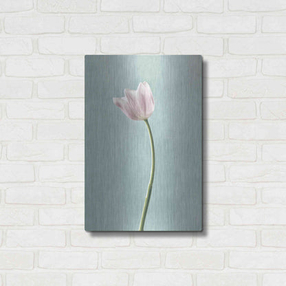 Luxe Metal Art 'Light Tulips I Harbor Gray' by Debra Van Swearingen, Metal Wall Art,16x24