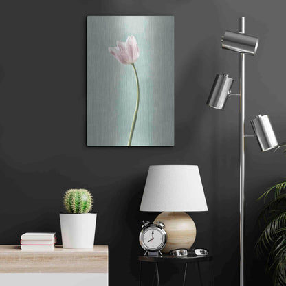 Luxe Metal Art 'Light Tulips I Harbor Gray' by Debra Van Swearingen, Metal Wall Art,16x24