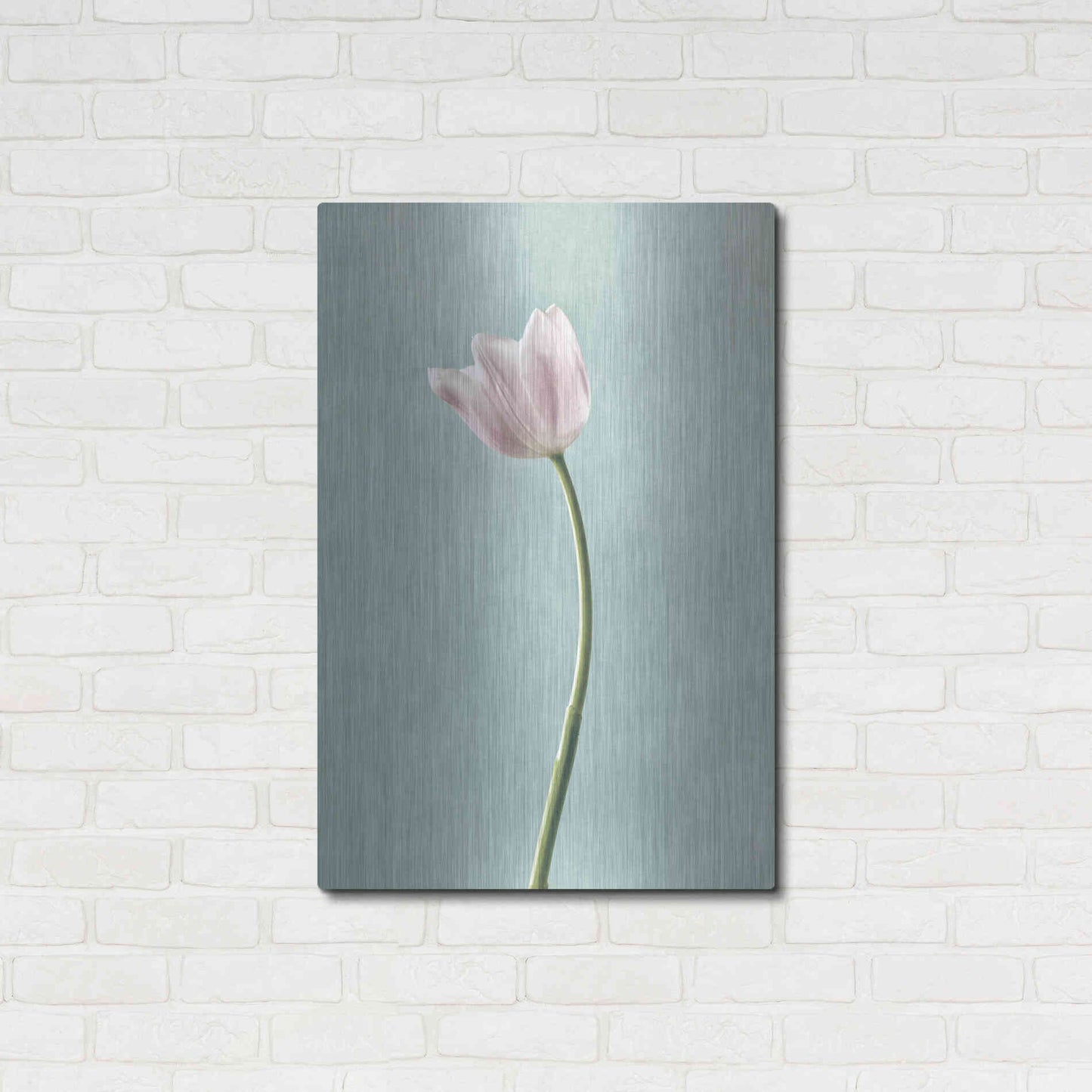 Luxe Metal Art 'Light Tulips I Harbor Gray' by Debra Van Swearingen, Metal Wall Art,24x36