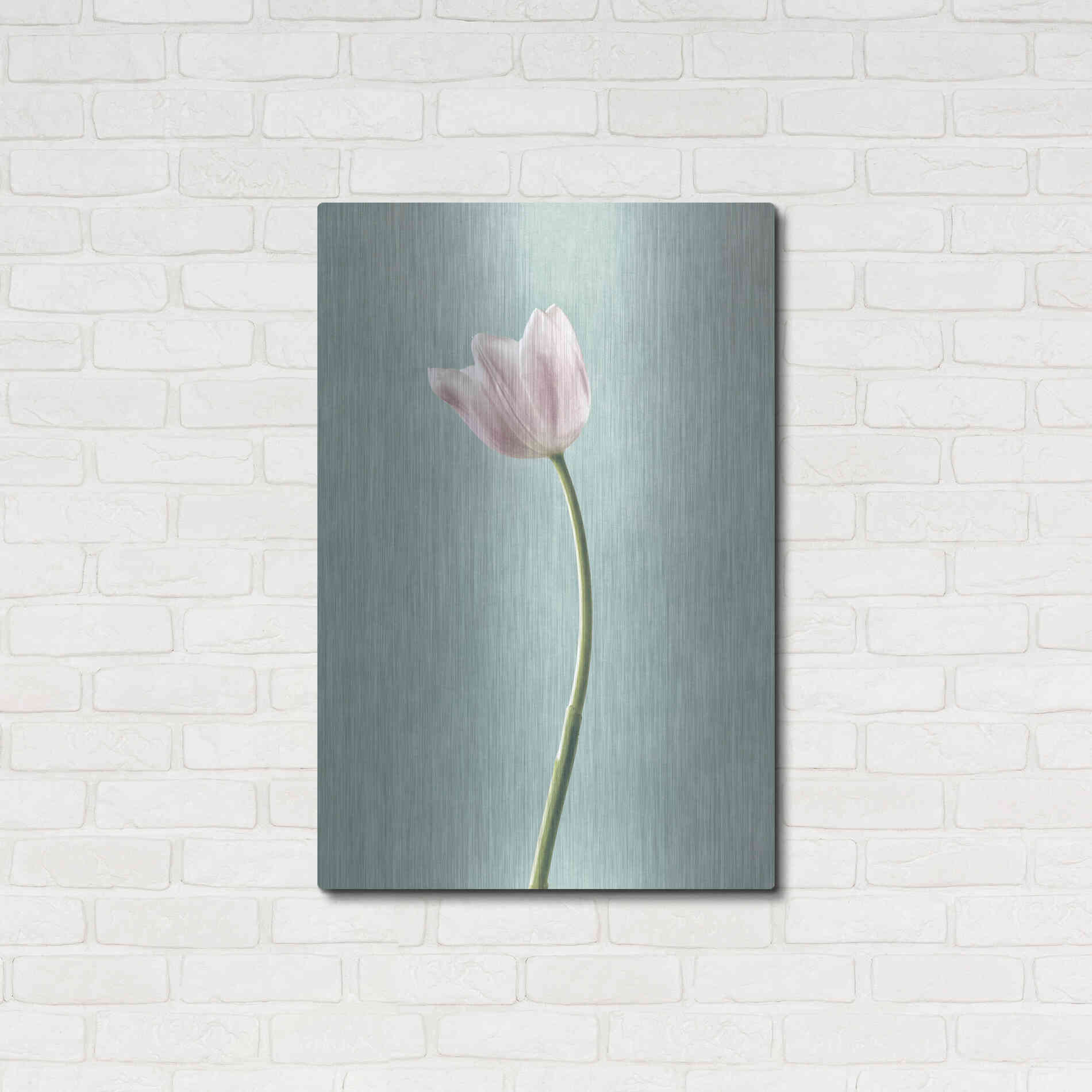 Luxe Metal Art 'Light Tulips I Harbor Gray' by Debra Van Swearingen, Metal Wall Art,24x36
