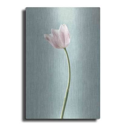 Luxe Metal Art 'Light Tulips I Harbor Gray' by Debra Van Swearingen, Metal Wall Art