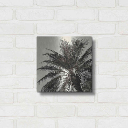 Luxe Metal Art 'Palm Tree Sepia I' by Debra Van Swearingen, Metal Wall Art,12x12