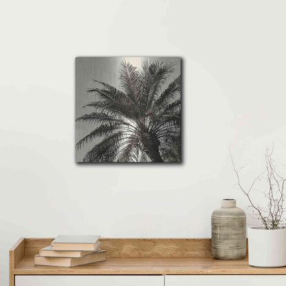 Luxe Metal Art 'Palm Tree Sepia I' by Debra Van Swearingen, Metal Wall Art,12x12
