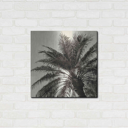 Luxe Metal Art 'Palm Tree Sepia I' by Debra Van Swearingen, Metal Wall Art,24x24