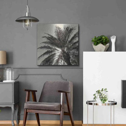 Luxe Metal Art 'Palm Tree Sepia I' by Debra Van Swearingen, Metal Wall Art,24x24