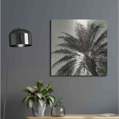 Luxe Metal Art 'Palm Tree Sepia I' by Debra Van Swearingen, Metal Wall Art,24x24