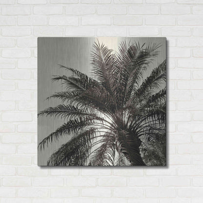 Luxe Metal Art 'Palm Tree Sepia I' by Debra Van Swearingen, Metal Wall Art,36x36