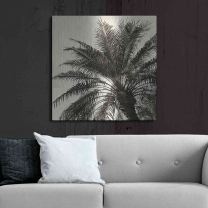 Luxe Metal Art 'Palm Tree Sepia I' by Debra Van Swearingen, Metal Wall Art,36x36