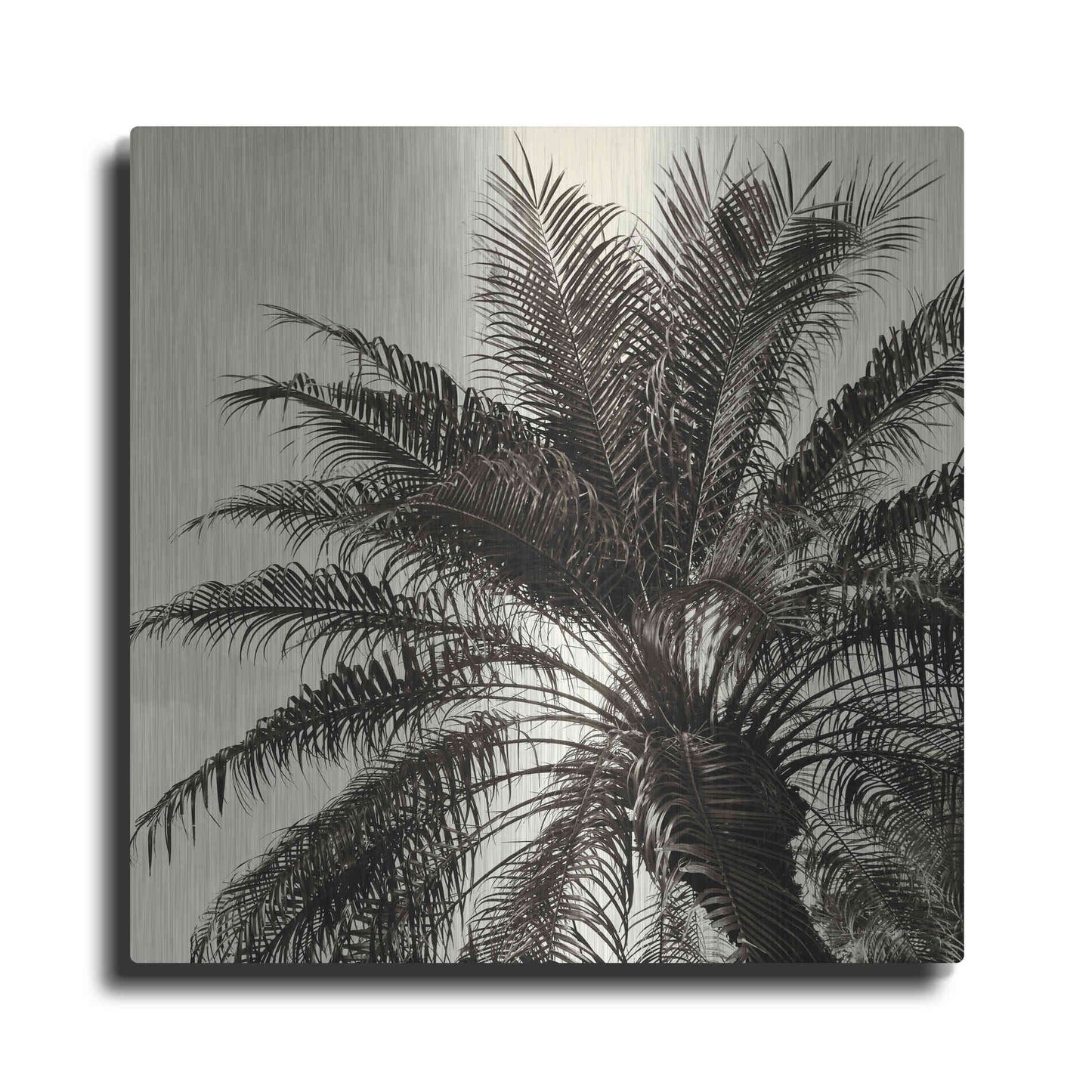 Luxe Metal Art 'Palm Tree Sepia I' by Debra Van Swearingen, Metal Wall Art