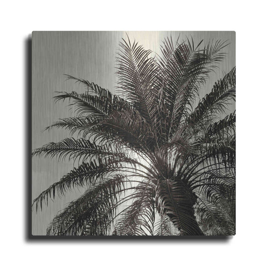 Luxe Metal Art 'Palm Tree Sepia I' by Debra Van Swearingen, Metal Wall Art
