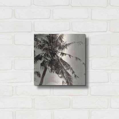 Luxe Metal Art 'Palm Tree Sepia II' by Debra Van Swearingen, Metal Wall Art,12x12