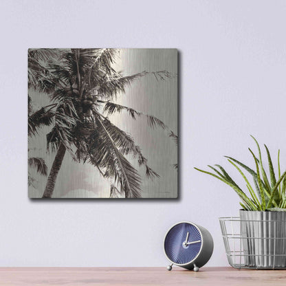 Luxe Metal Art 'Palm Tree Sepia II' by Debra Van Swearingen, Metal Wall Art,12x12