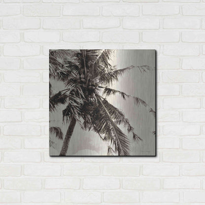 Luxe Metal Art 'Palm Tree Sepia II' by Debra Van Swearingen, Metal Wall Art,24x24