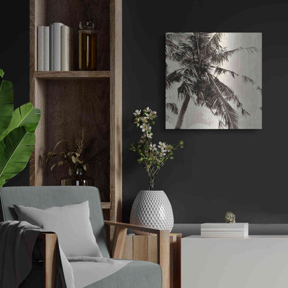 Luxe Metal Art 'Palm Tree Sepia II' by Debra Van Swearingen, Metal Wall Art,24x24