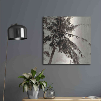 Luxe Metal Art 'Palm Tree Sepia II' by Debra Van Swearingen, Metal Wall Art,24x24