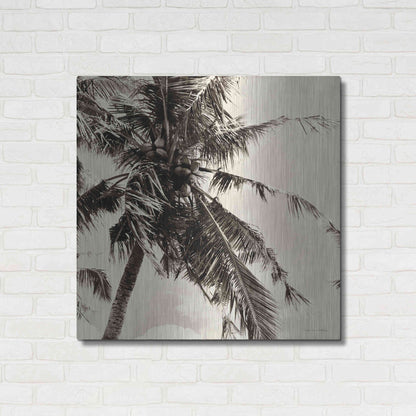 Luxe Metal Art 'Palm Tree Sepia II' by Debra Van Swearingen, Metal Wall Art,36x36