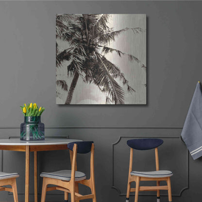 Luxe Metal Art 'Palm Tree Sepia II' by Debra Van Swearingen, Metal Wall Art,36x36
