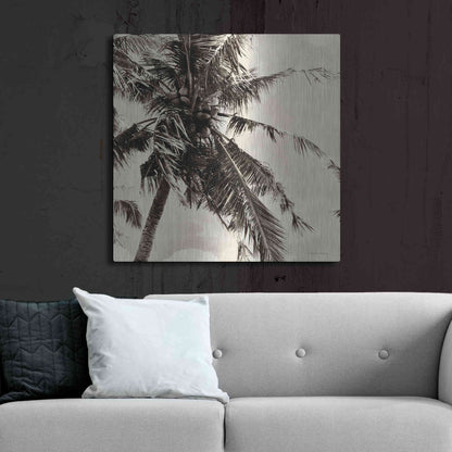 Luxe Metal Art 'Palm Tree Sepia II' by Debra Van Swearingen, Metal Wall Art,36x36