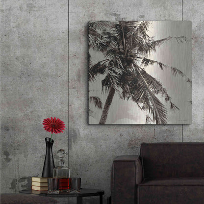 Luxe Metal Art 'Palm Tree Sepia II' by Debra Van Swearingen, Metal Wall Art,36x36