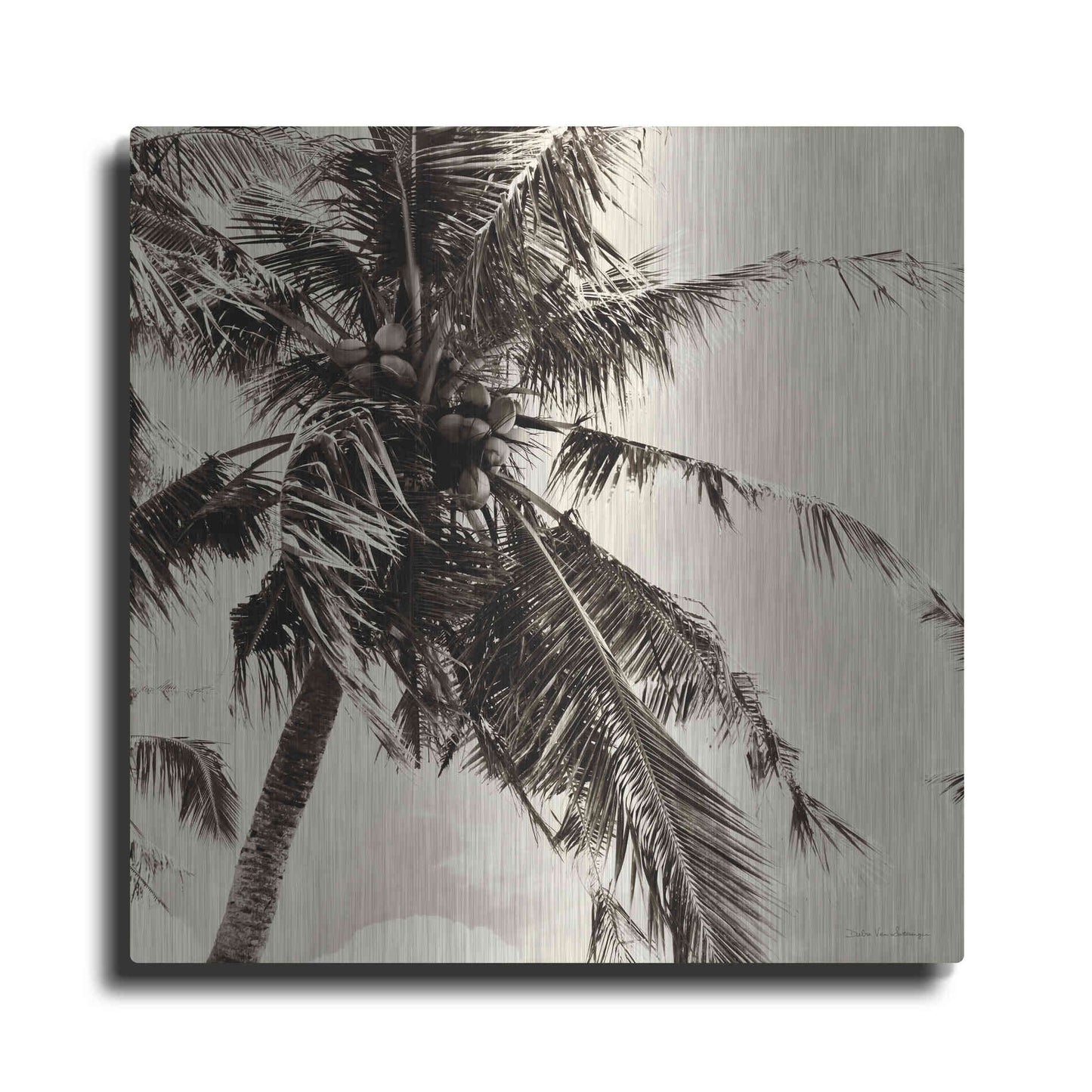 Luxe Metal Art 'Palm Tree Sepia II' by Debra Van Swearingen, Metal Wall Art