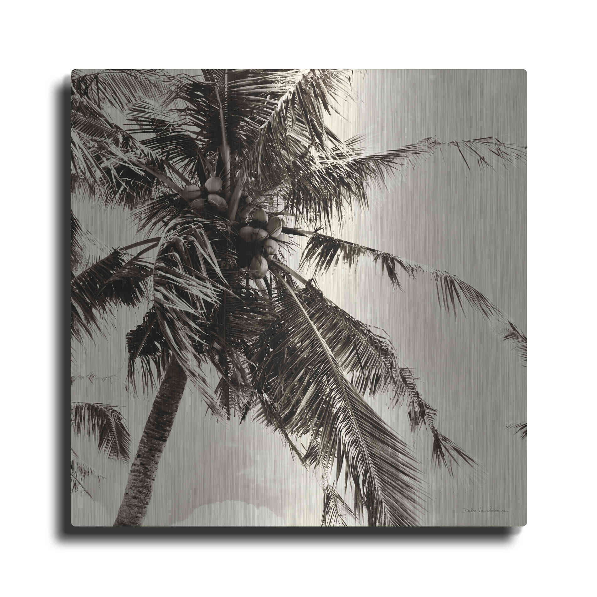 Luxe Metal Art 'Palm Tree Sepia II' by Debra Van Swearingen, Metal Wall Art