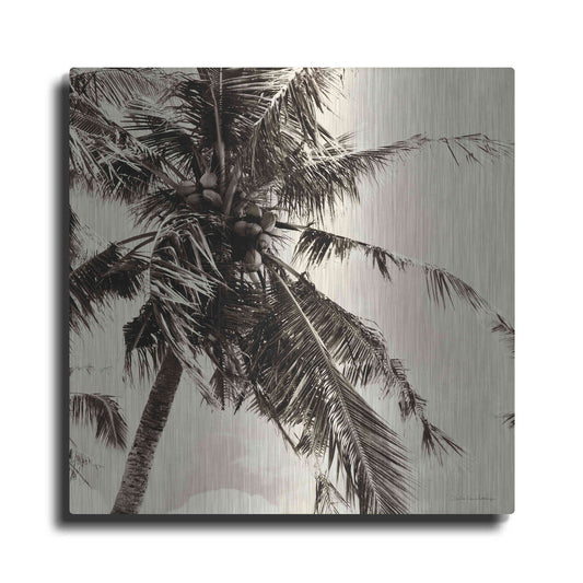 Luxe Metal Art 'Palm Tree Sepia II' by Debra Van Swearingen, Metal Wall Art