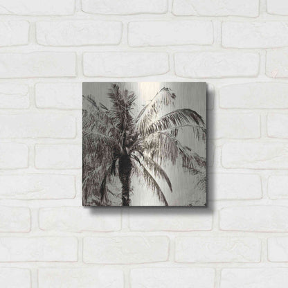 Luxe Metal Art 'Palm Tree Sepia III' by Debra Van Swearingen, Metal Wall Art,12x12