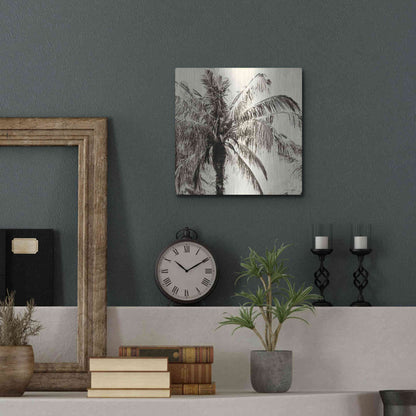 Luxe Metal Art 'Palm Tree Sepia III' by Debra Van Swearingen, Metal Wall Art,12x12