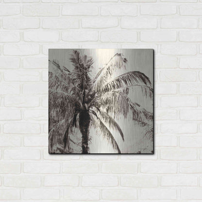 Luxe Metal Art 'Palm Tree Sepia III' by Debra Van Swearingen, Metal Wall Art,24x24