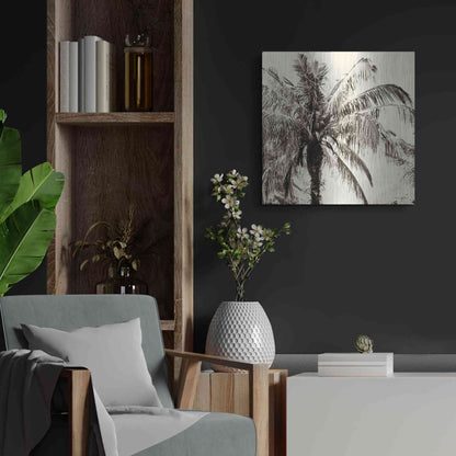 Luxe Metal Art 'Palm Tree Sepia III' by Debra Van Swearingen, Metal Wall Art,24x24