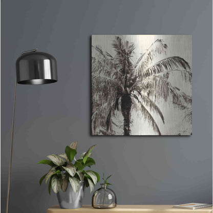 Luxe Metal Art 'Palm Tree Sepia III' by Debra Van Swearingen, Metal Wall Art,24x24