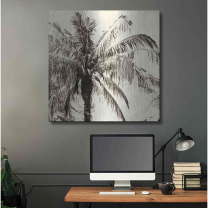 Luxe Metal Art 'Palm Tree Sepia III' by Debra Van Swearingen, Metal Wall Art,36x36
