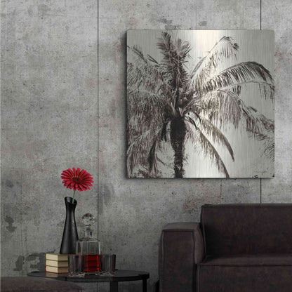 Luxe Metal Art 'Palm Tree Sepia III' by Debra Van Swearingen, Metal Wall Art,36x36