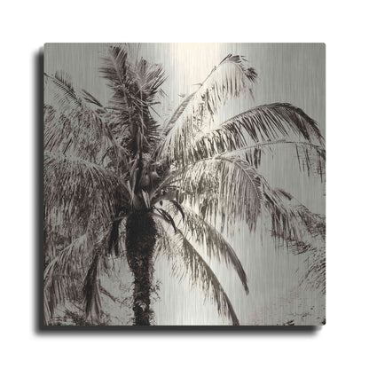 Luxe Metal Art 'Palm Tree Sepia III' by Debra Van Swearingen, Metal Wall Art