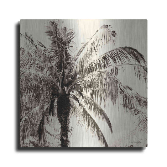Luxe Metal Art 'Palm Tree Sepia III' by Debra Van Swearingen, Metal Wall Art