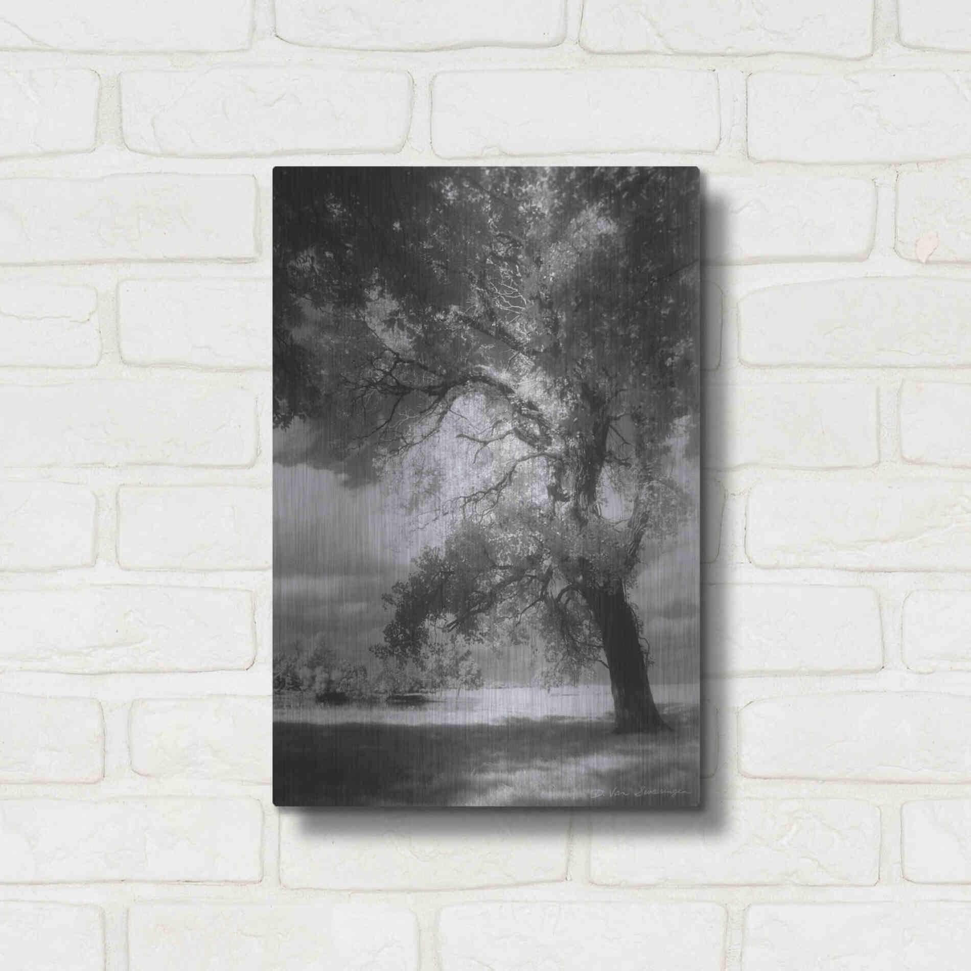 Luxe Metal Art 'Dreamscape' by Debra Van Swearingen, Metal Wall Art,12x16