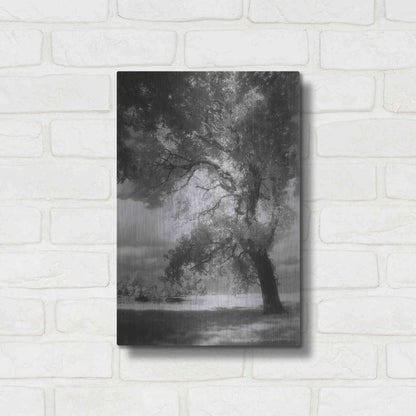 Luxe Metal Art 'Dreamscape' by Debra Van Swearingen, Metal Wall Art,12x16