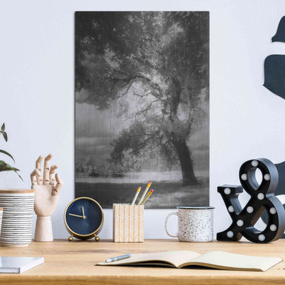 Luxe Metal Art 'Dreamscape' by Debra Van Swearingen, Metal Wall Art,12x16