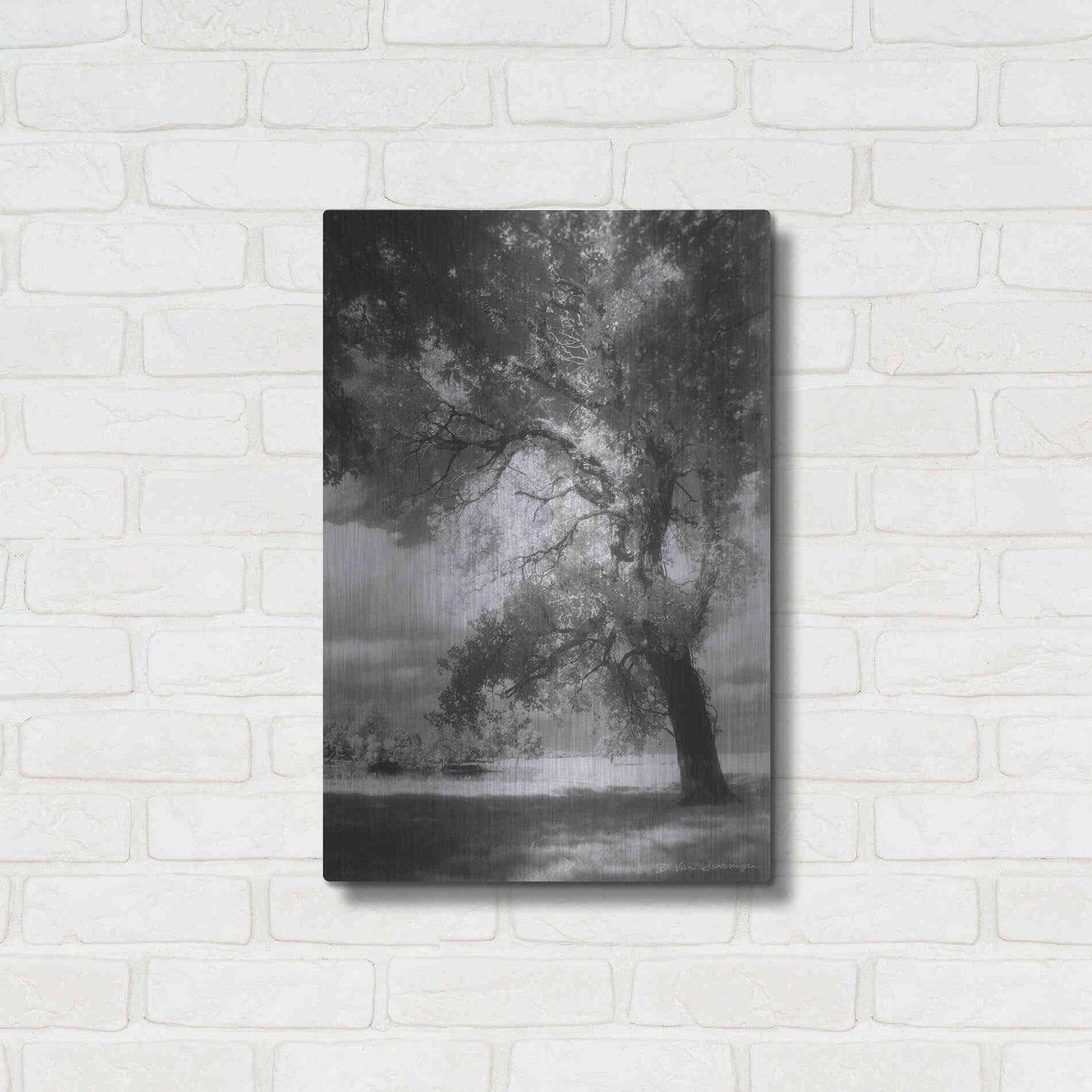 Luxe Metal Art 'Dreamscape' by Debra Van Swearingen, Metal Wall Art,16x24